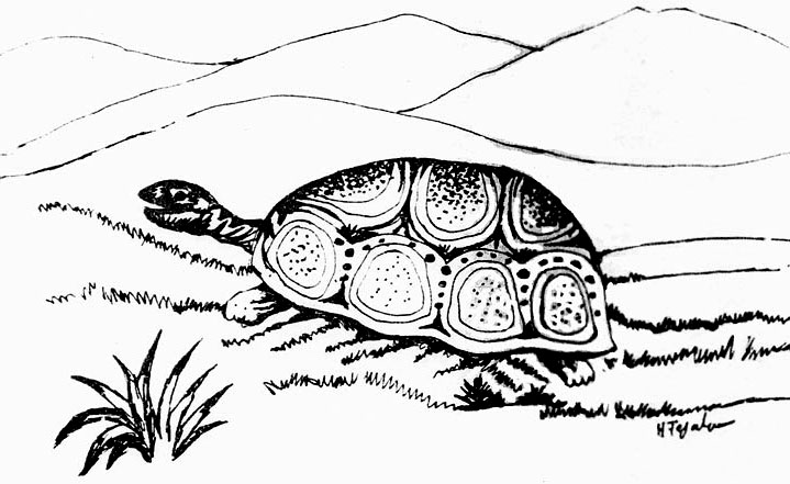 Javier Tafur González